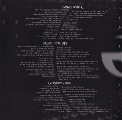 Keywords: amy lee,fallen,evanescence,world evanescence day