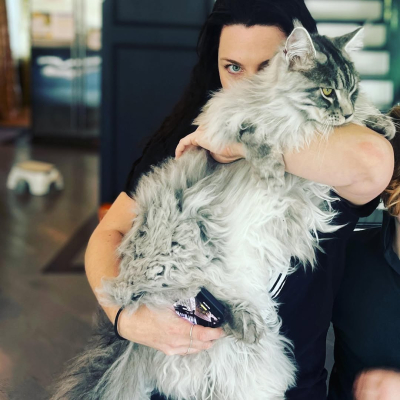 Click to view full size image
==============
Keywords: amy lee,amy pic,evanescence,evanescence pics,instagram Keywords: amy lee,amy pic,evanescence,evanescence pics,instagram