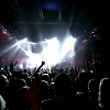 amyleefans13351.png