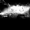 amyleefans21331.png