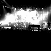 amyleefans21361.png
