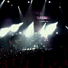 amyleefans24631.png
