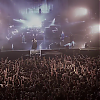 amyleefans50611.png