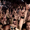 amyleefans55561.png