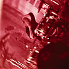 amyleefans02851.png