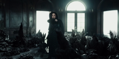 amyleefans01291.png