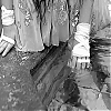 amyleefans05941.png