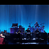 amyleefans05941.png