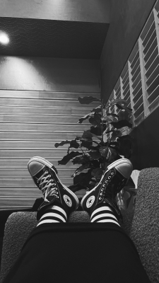 Keywords: amy lee,evanescence,ev5,studio